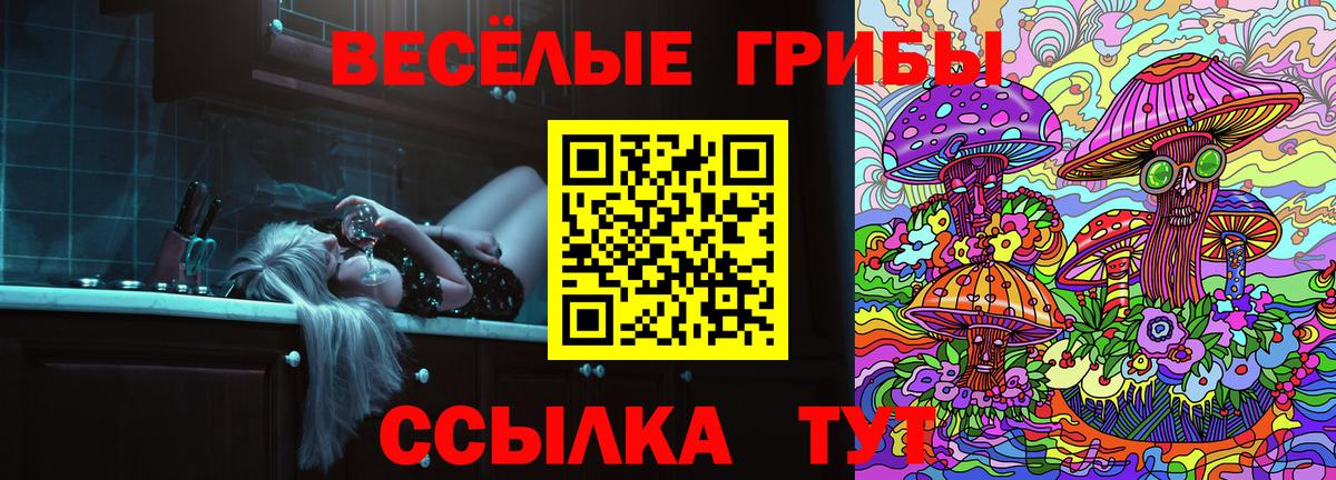 Галлюциногенные грибы Cubensis Усинск